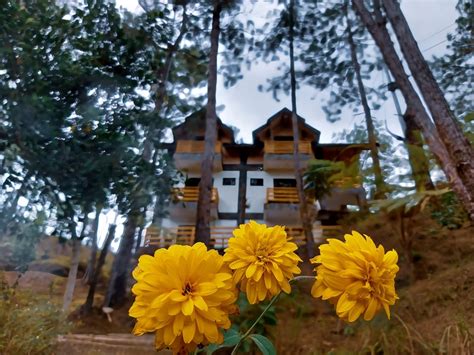 Sagada Blue Mountain Cabins (@sagadabluemountaincabins).